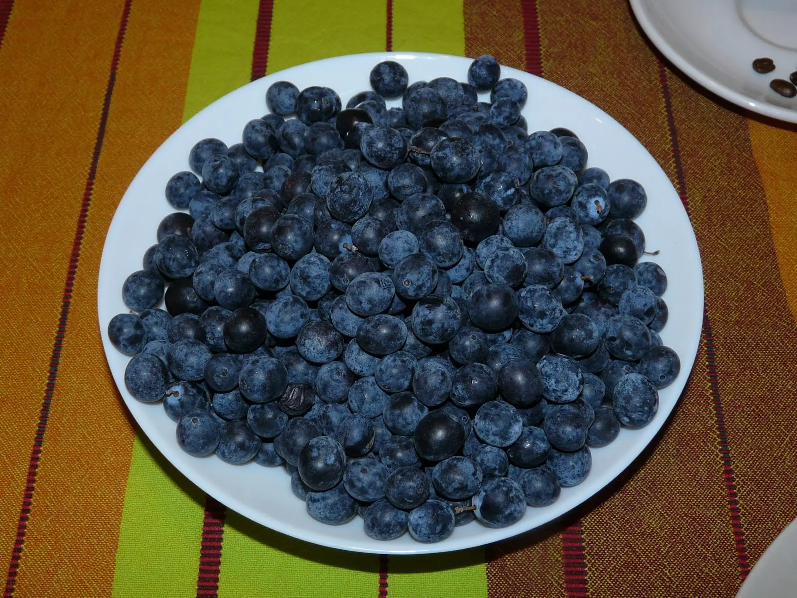 licores