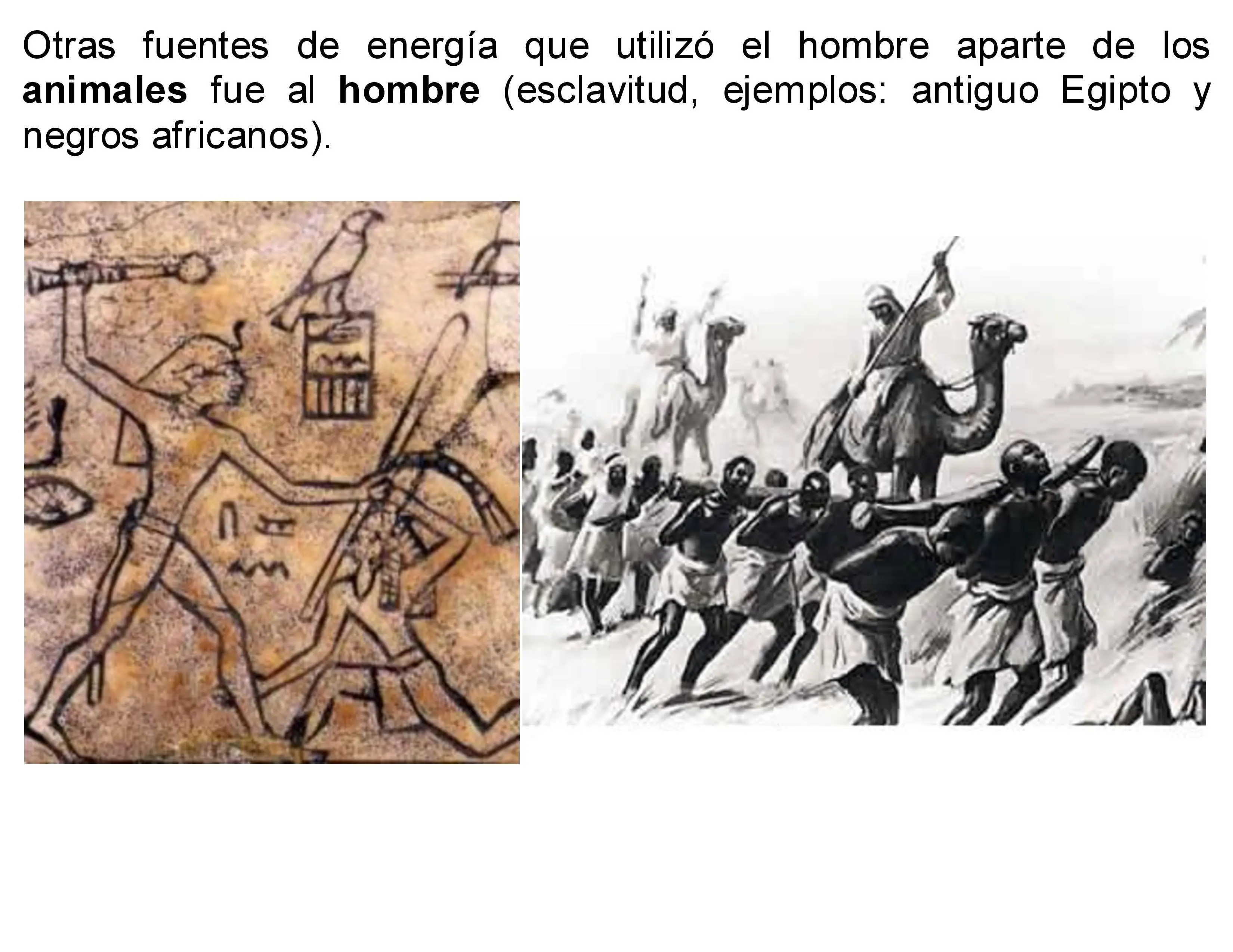 Diseno Grafico