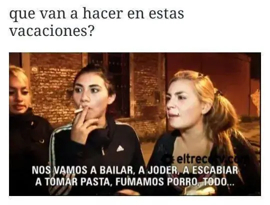 reite un rato lince