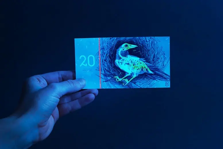 billetes