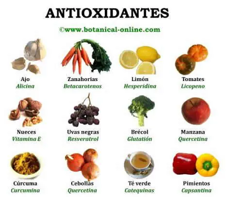Te explico que es un antioxidante