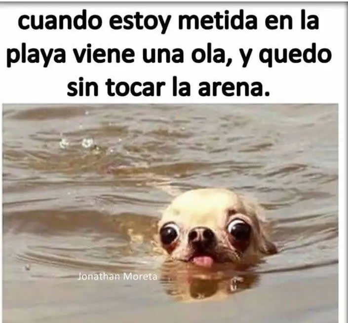 +8 si te reis parte 2