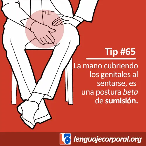 consejos