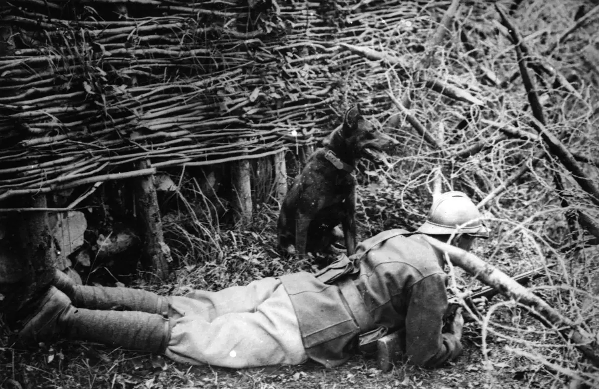 guerra