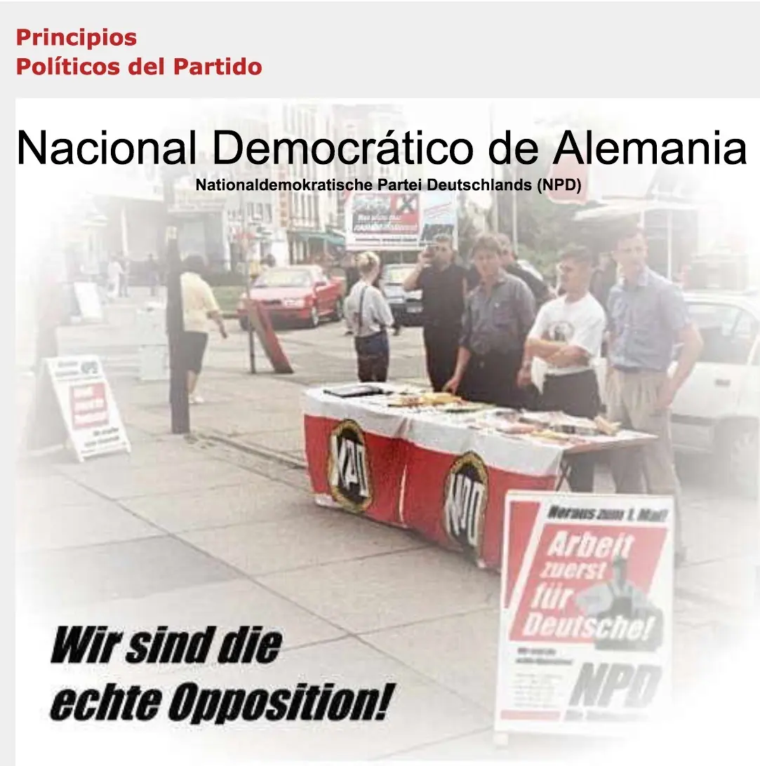 NPD Partido Nacional Democrático. Te presento su programa.