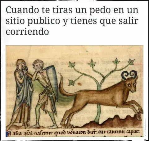 humor