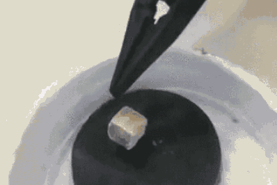 Experimentos