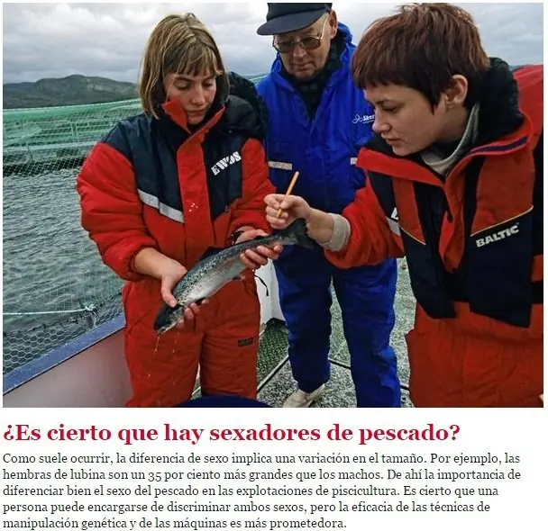 respuestas a preguntas