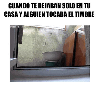 Gatos Haciendo Cosas De Gatos Gifs Y Imagenes