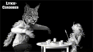 La Revancha de Los Linces