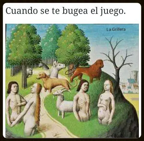 imagenes