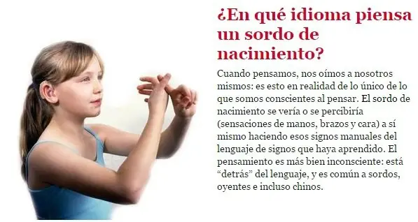 curiosidades y respuestas