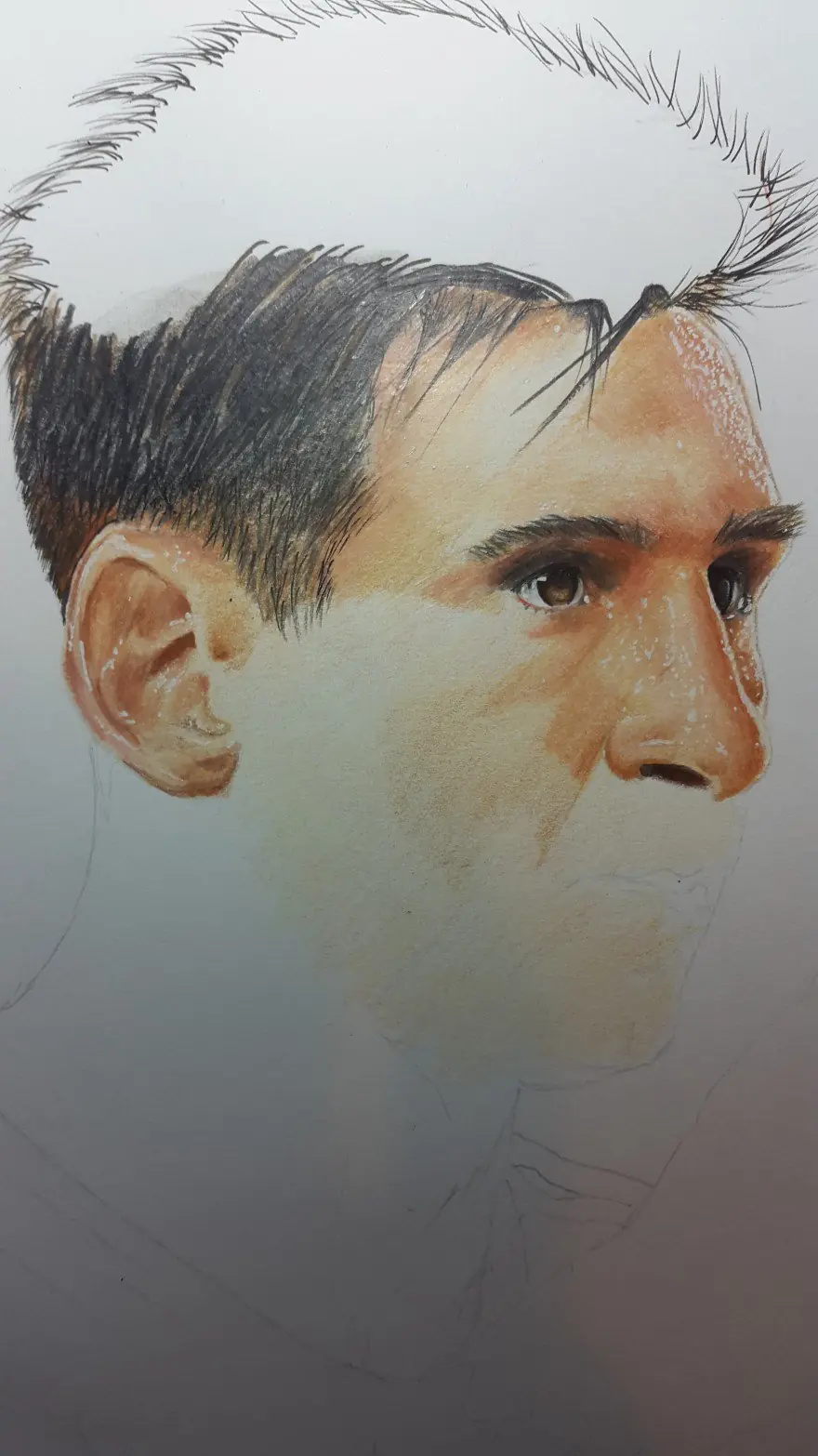 polychromos