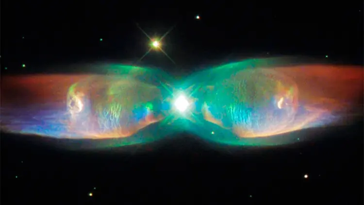 Soy Científico. Mariposa Galáctica capturada