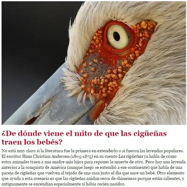 respuestas a preguntas