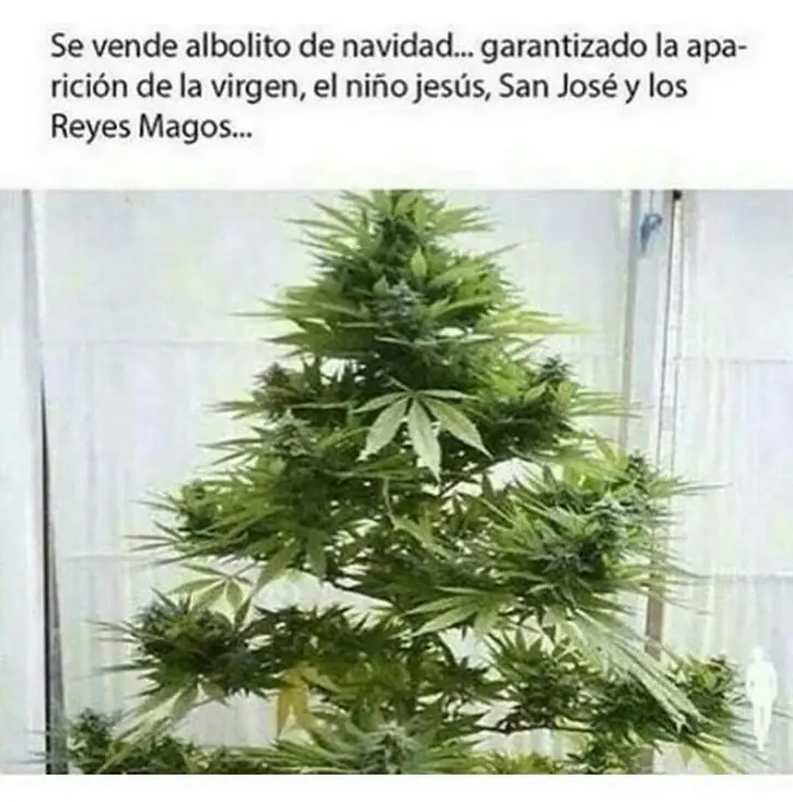 mexicano