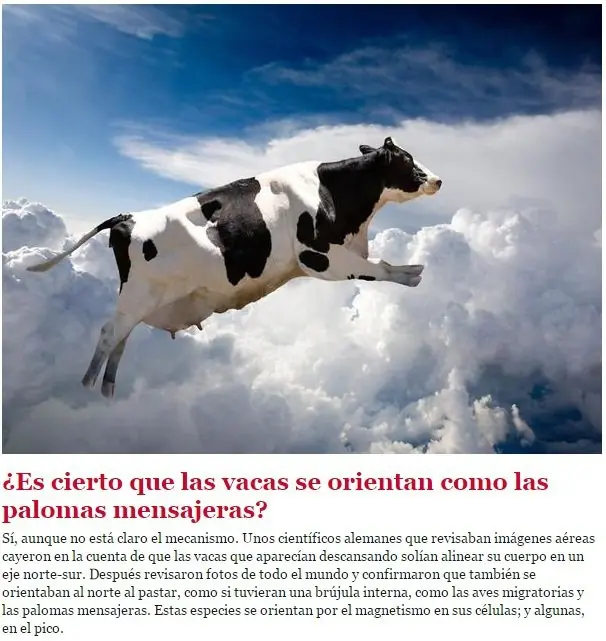 respuestas a preguntas