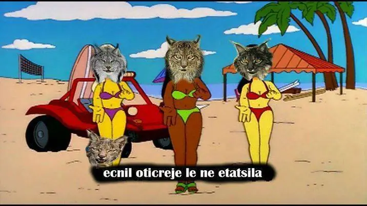 ejercito de linces