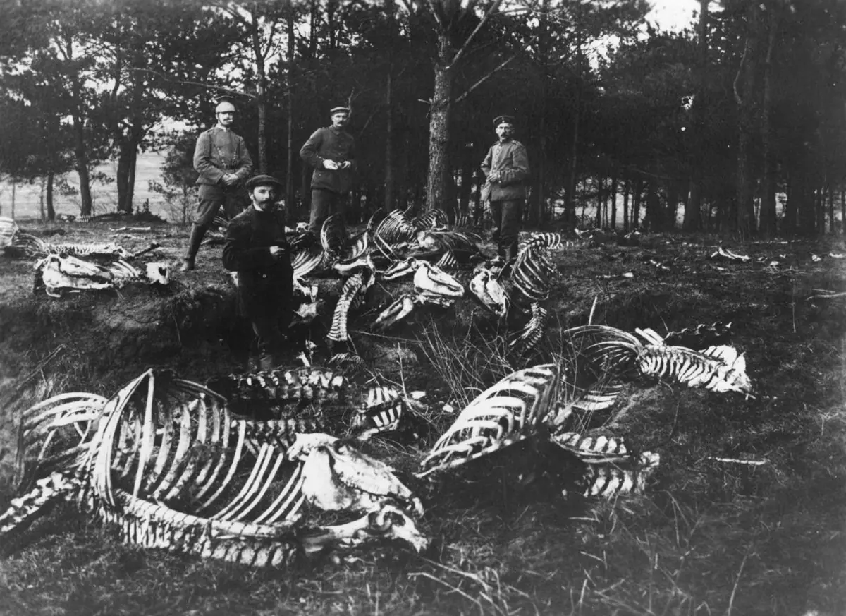 Fotos historicas con LinceCoronas [primera guerra mundial]