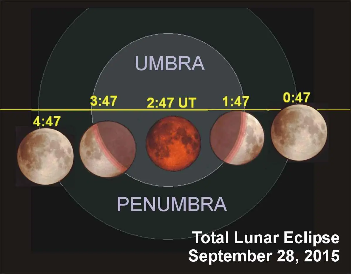 Vi un OVNI en la luna roja y asuste al publico.