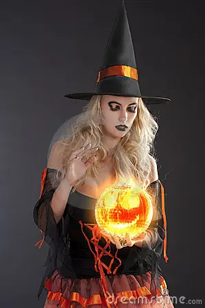 daphne daphne