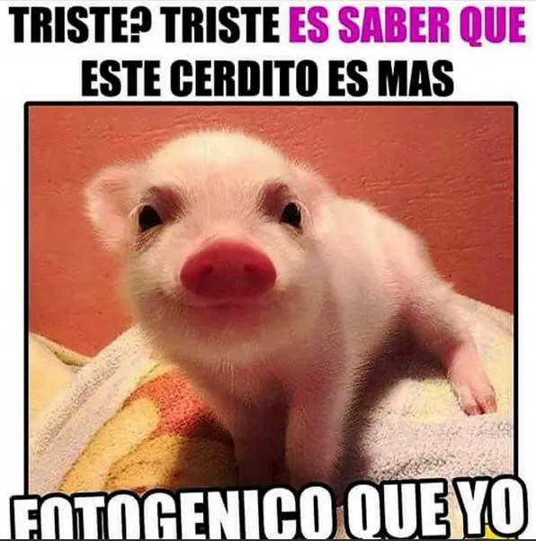 Humor de Lunes
