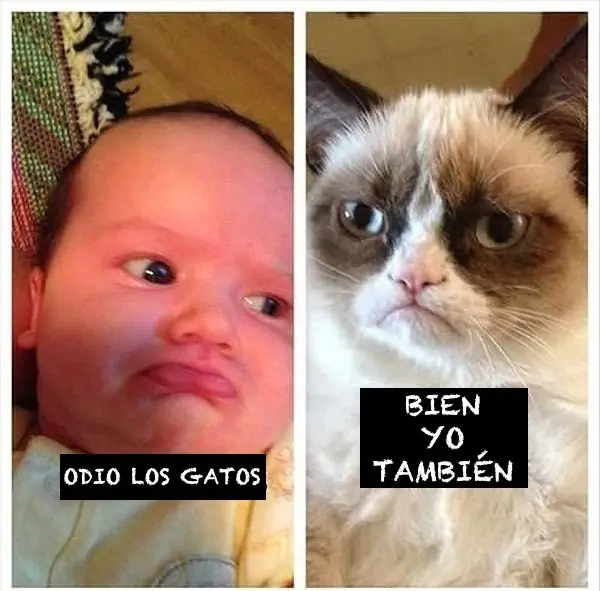 Humor de Lunes