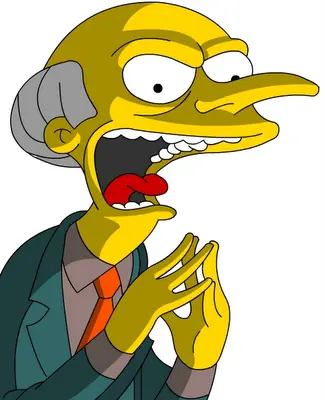 Mr Burns