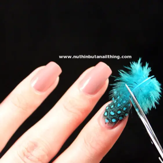 Nail Polish