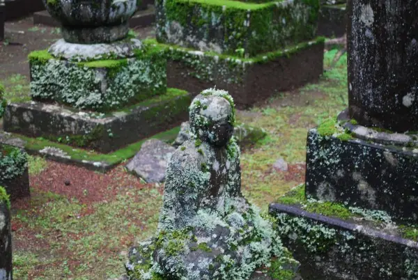 asiaticos
