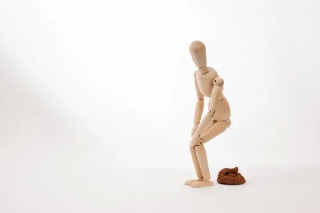 cuerpo