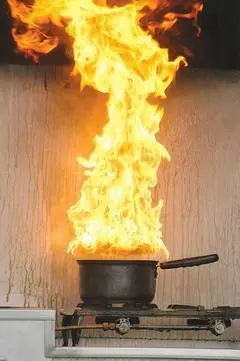 sopa