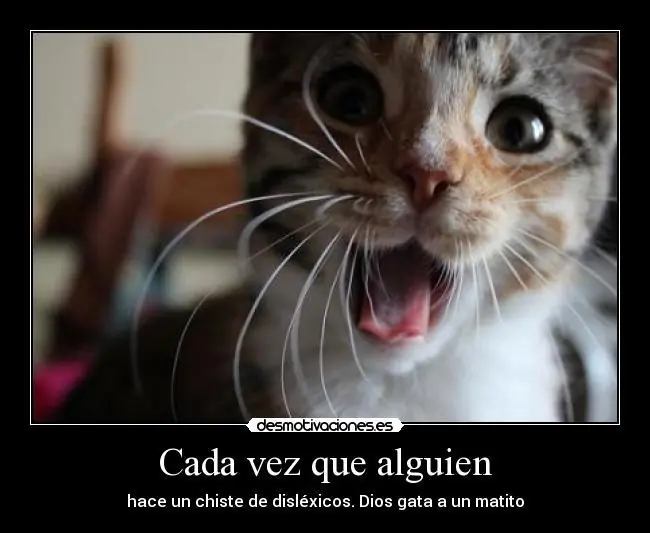 dislexia dislexia