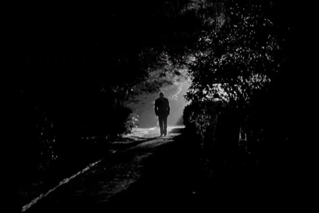 la noche de terror taringa