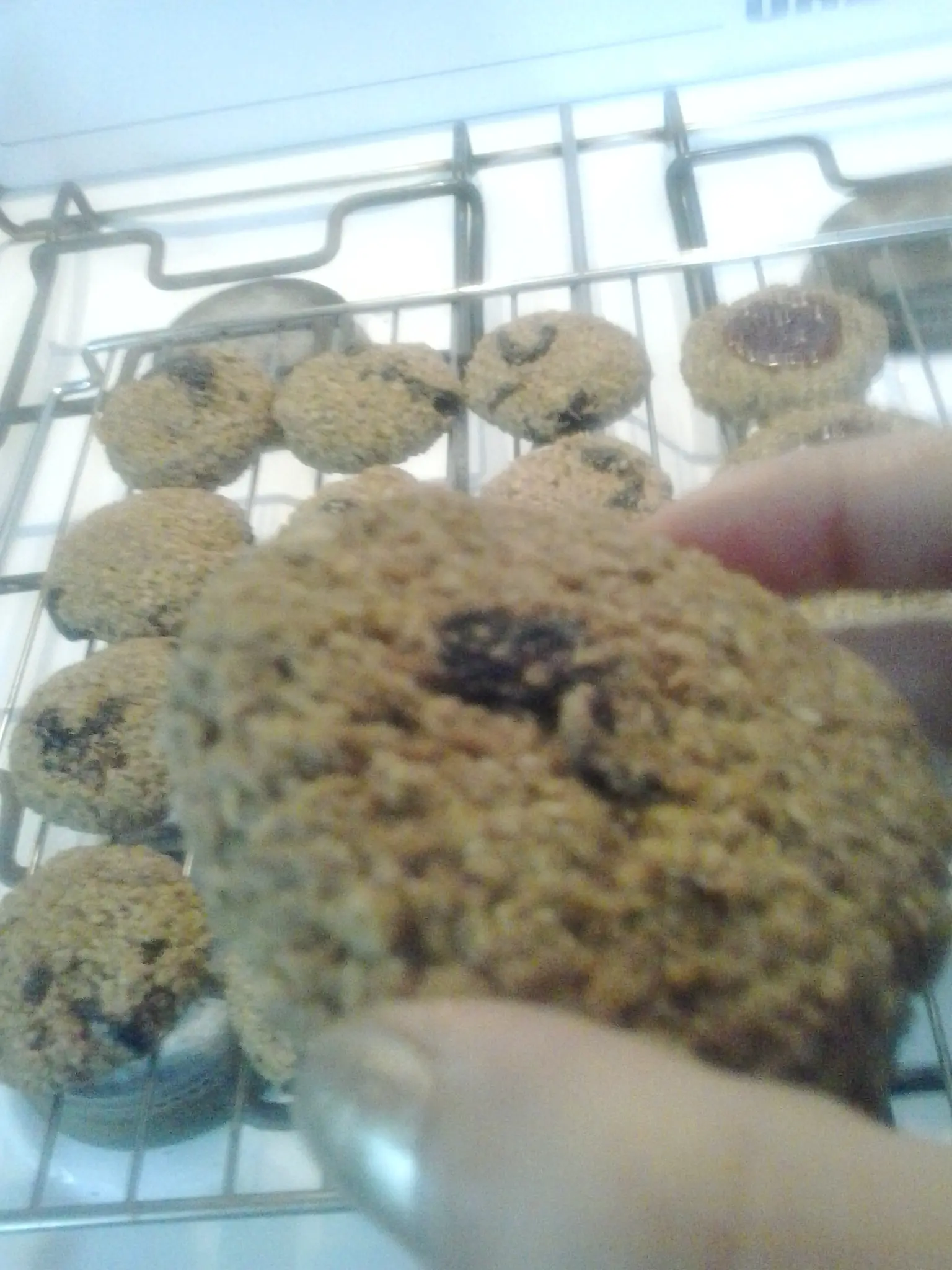 Galletitas de Ciruela de la serie Escalofrios