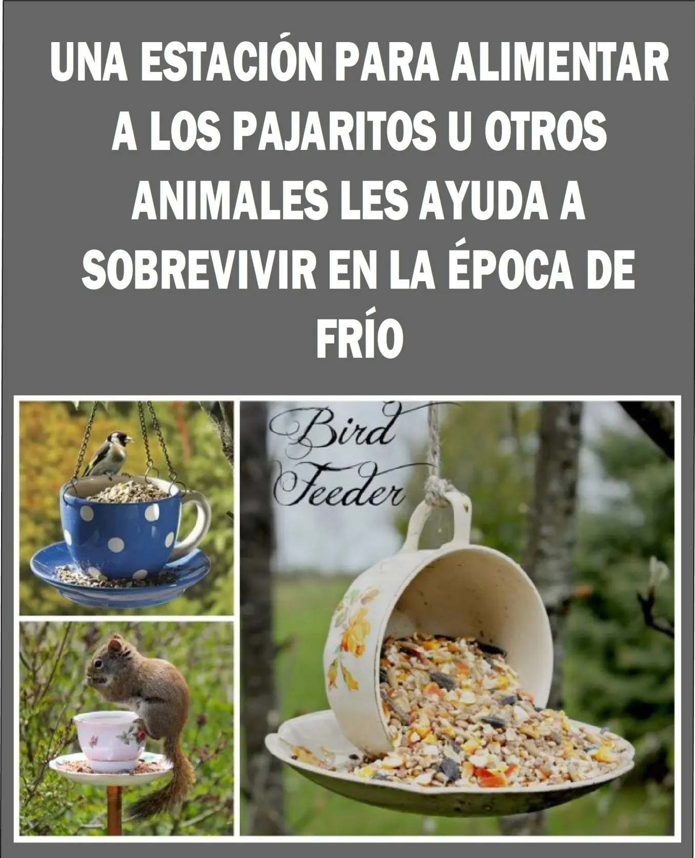 arte
