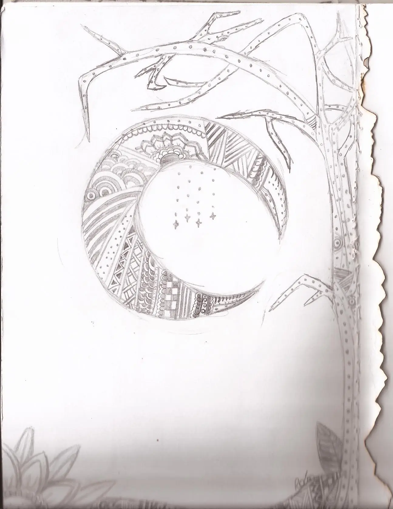 marcador