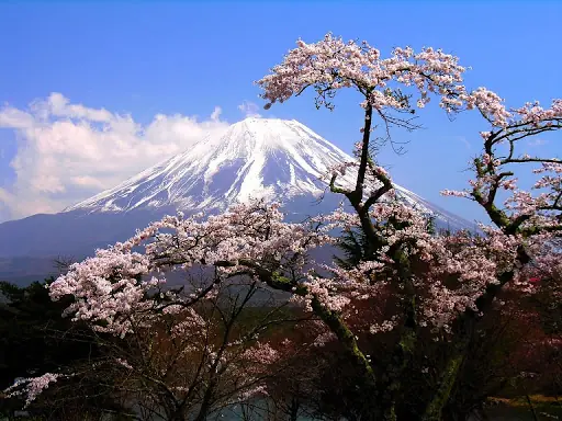 solo en japon