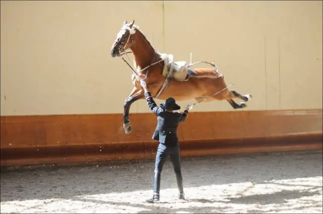 imagenes que debes mirar dos veces o mas
