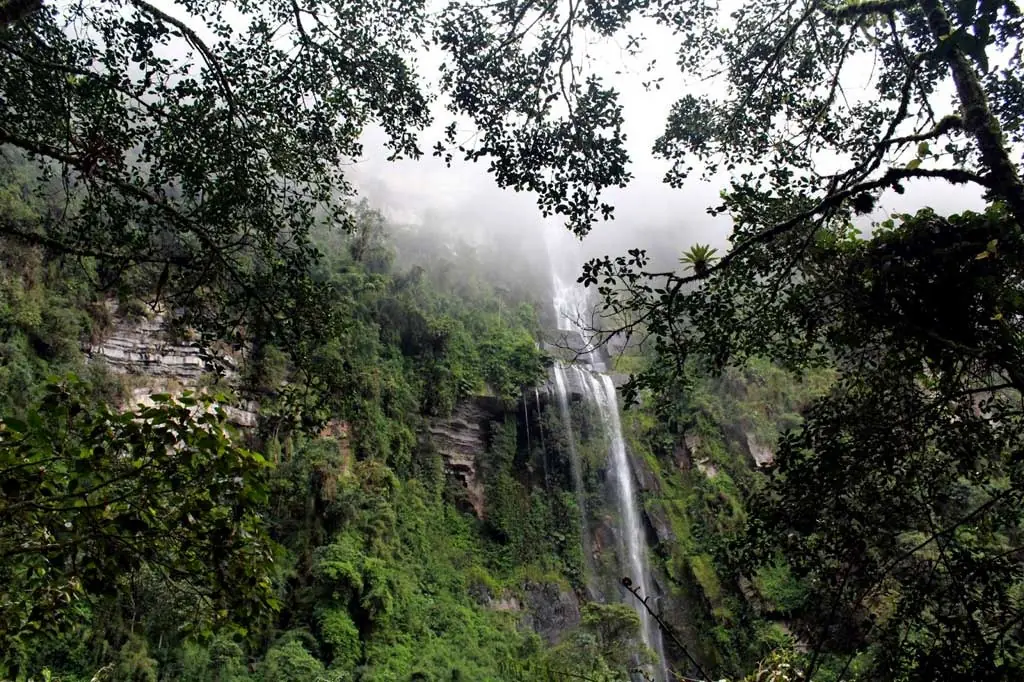 paseos por bogota