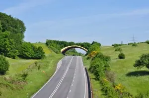 Puentes que respetan la naturaleza
