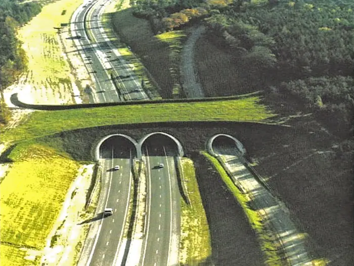 puentes