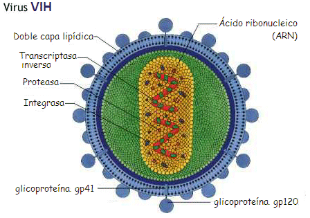 Sida
