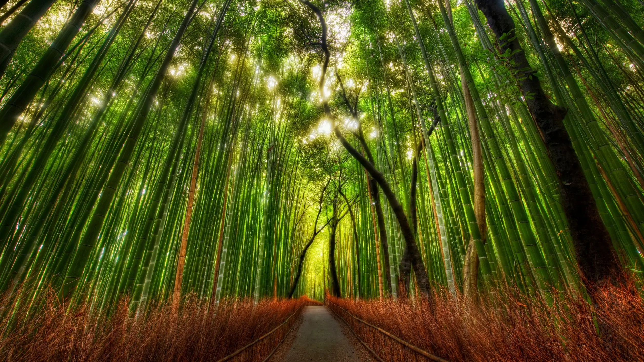 paisajes naturales