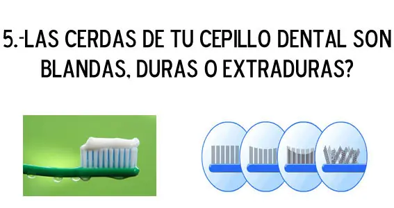 Habitos