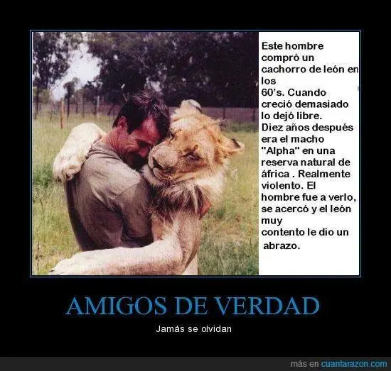 humor