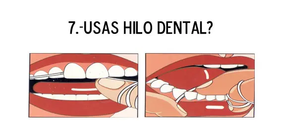 Consulta