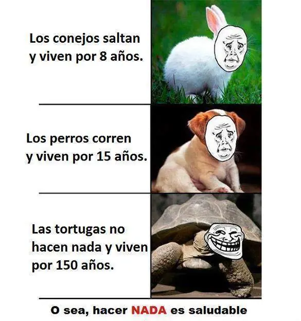lince