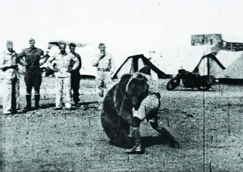 Voytek