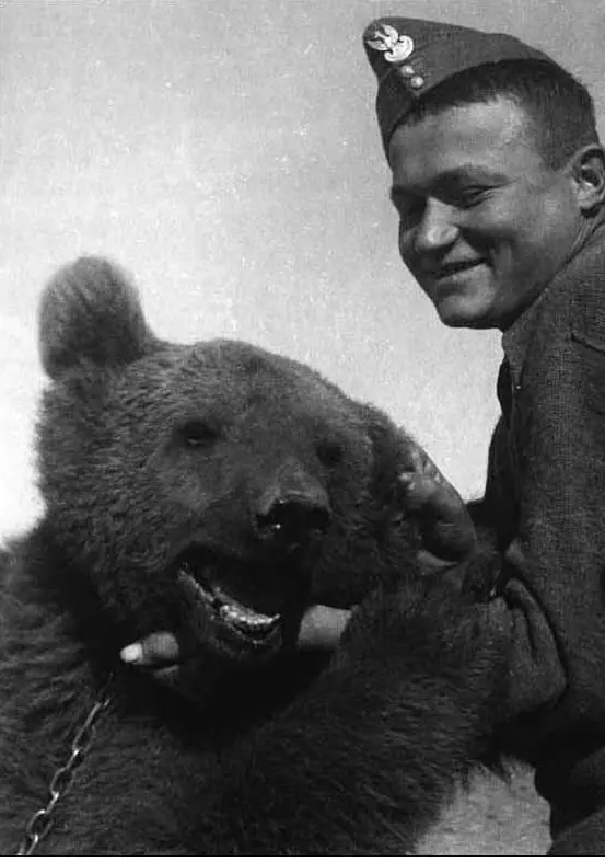 Voytek el oso soldado matanazis